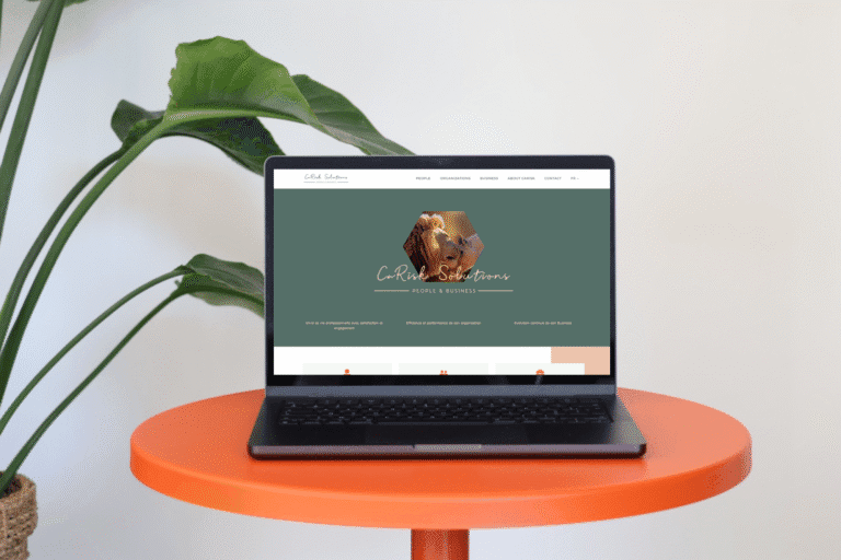 CaRisk Solutions